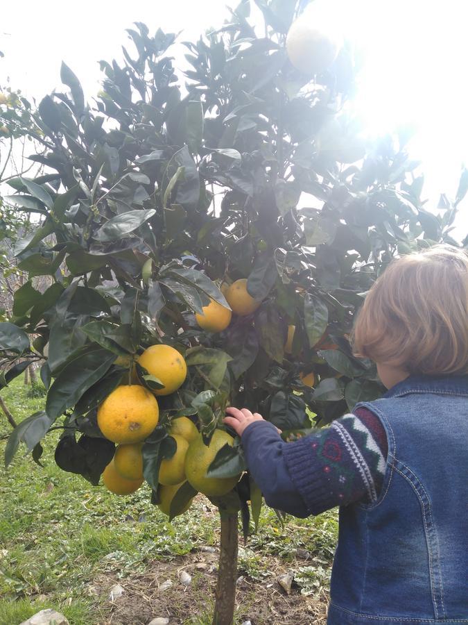 Agroturismo La Casona De Belmonte Ovinana  Екстер'єр фото