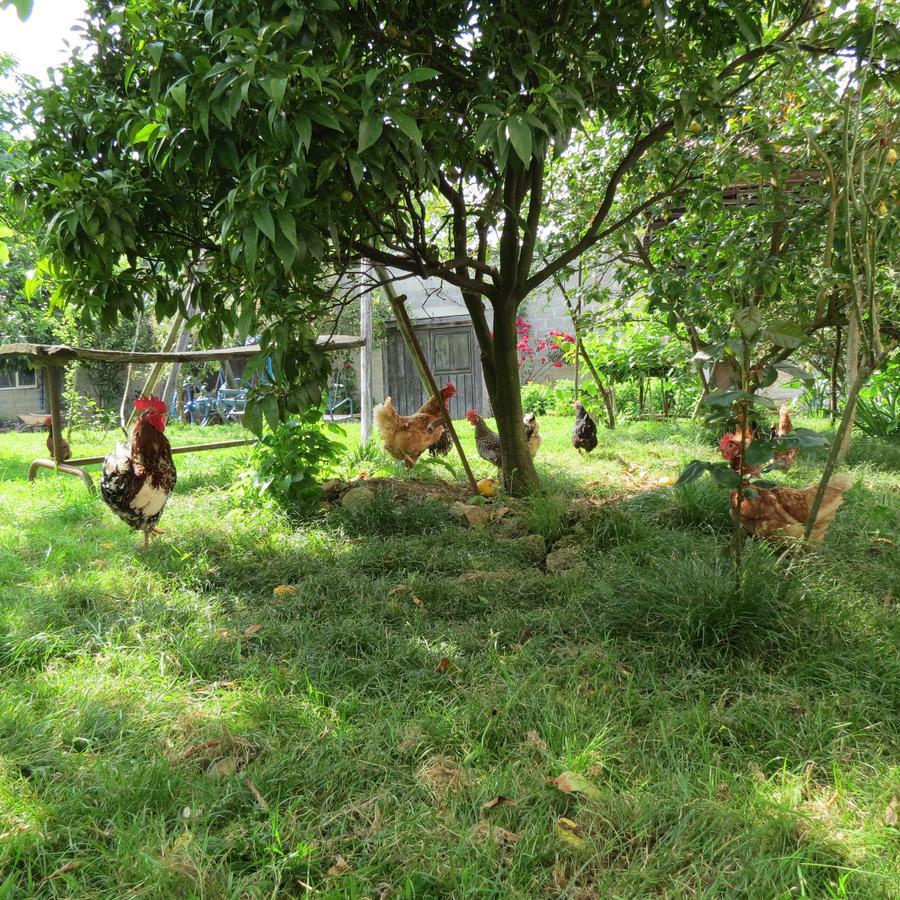 Agroturismo La Casona De Belmonte Ovinana  Екстер'єр фото