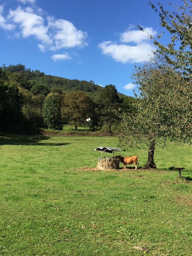 Agroturismo La Casona De Belmonte Ovinana  Екстер'єр фото