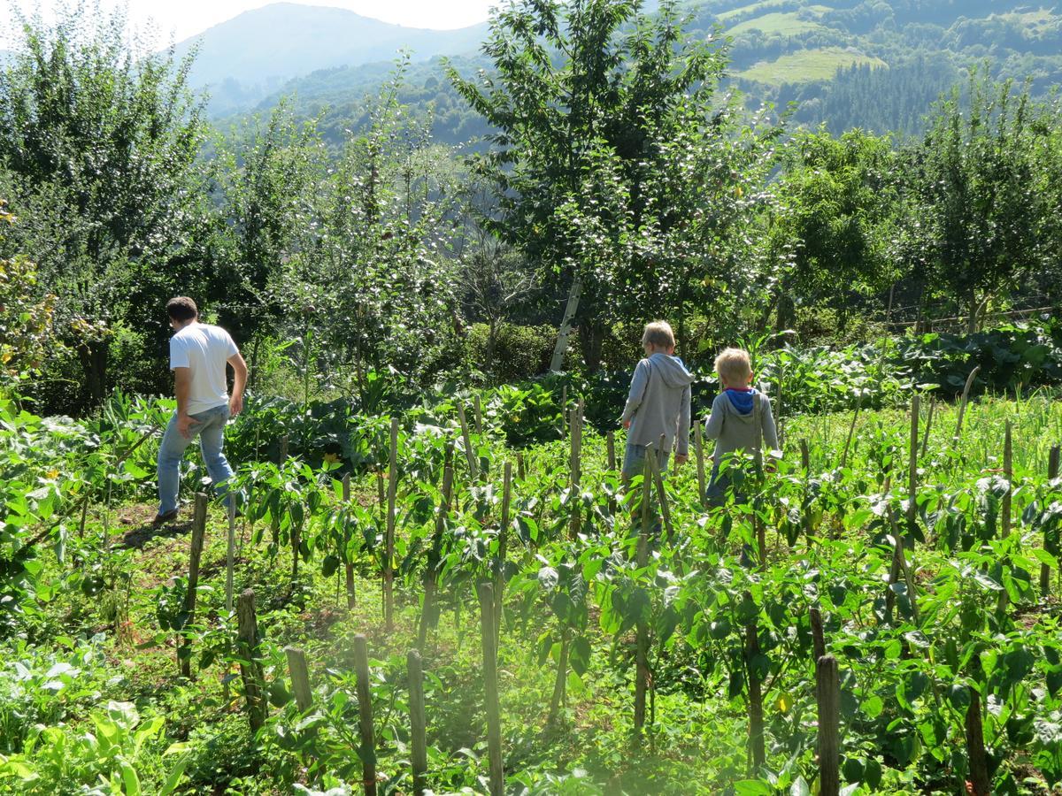 Agroturismo La Casona De Belmonte Ovinana  Екстер'єр фото